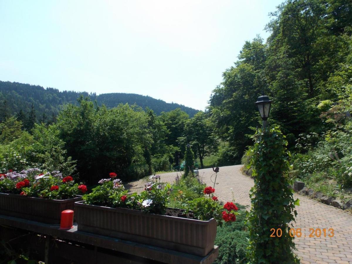 Gaestezimmer Haus Talblick Lautenthal Esterno foto