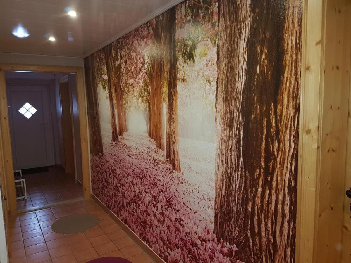 Gaestezimmer Haus Talblick Lautenthal Esterno foto
