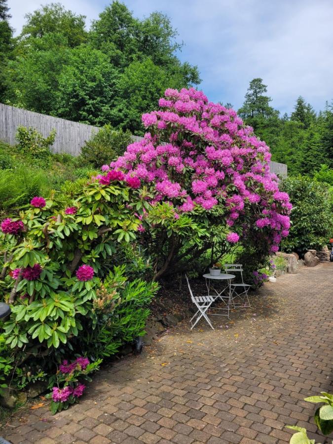 Gaestezimmer Haus Talblick Lautenthal Esterno foto